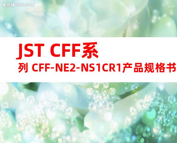 JST CFF系列 CFF-NE2-NS1CR1产品规格书